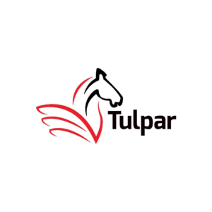 TULPAR-GLOBAL-TAXATION
